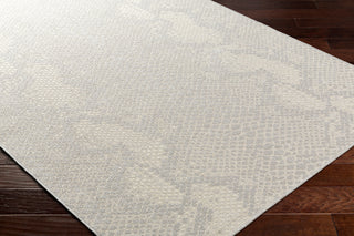 Surya Ravello RVL-2346 Area Rug Corner Shot