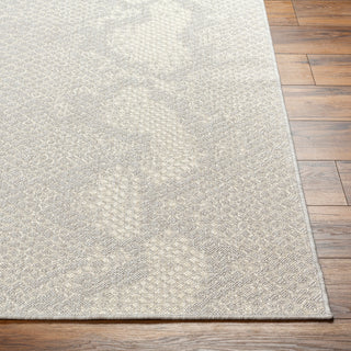 Surya Ravello RVL-2346 Area Rug Angle