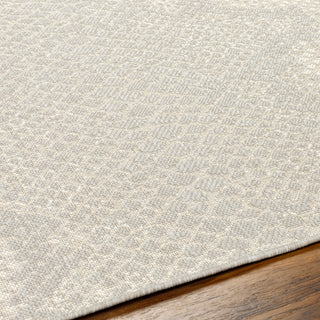 Surya Ravello RVL-2346 Area Rug Detail