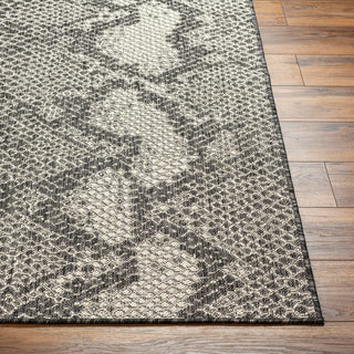 Surya Ravello RVL-2347 Area Rug Angle