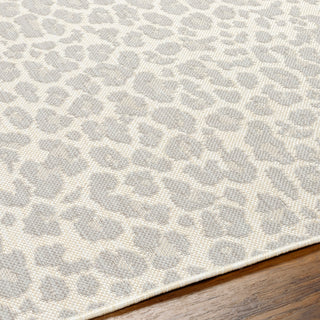 Surya Ravello RVL-2349 Area Rug Detail