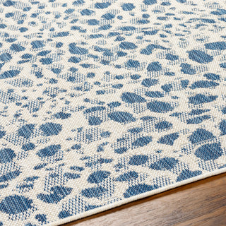 Surya Ravello RVL-2354 Area Rug Detail