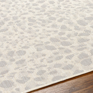 Surya Ravello RVL-2355 Area Rug Detail