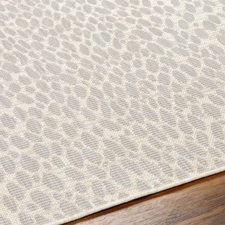 Surya Ravello RVL-2357 Area Rug Detail