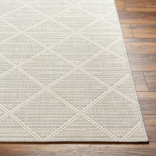 Surya Ravello RVL-2364 Area Rug Angle