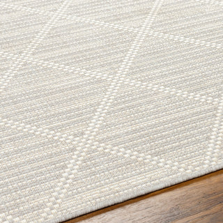 Surya Ravello RVL-2364 Area Rug Detail