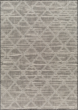 Surya Ravello RVL-2365 Area Rug main image