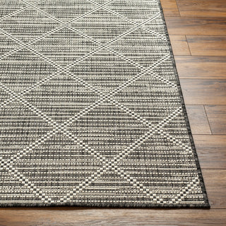 Surya Ravello RVL-2365 Area Rug Angle