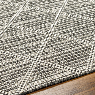 Surya Ravello RVL-2365 Area Rug Detail