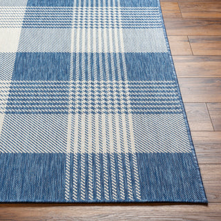 Surya Ravello RVL-2369 Area Rug Angle