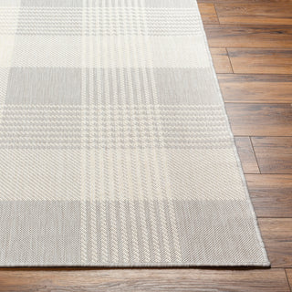 Surya Ravello RVL-2370 Area Rug Angle