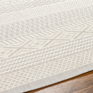 Surya Ravello RVL-2373 Area Rug Detail