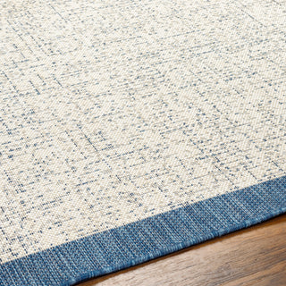 Surya Ravello RVL-2379 Area Rug Detail