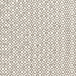 Surya Ravena RVN-3003 Taupe Area Rug Sample Swatch