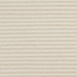 Surya Ravena RVN-3017 Area Rug