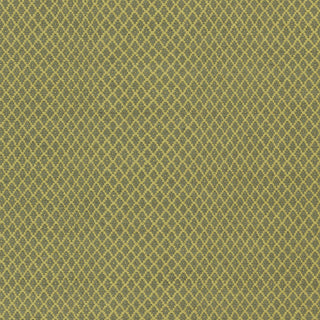 Surya Ravena RVN-3119 Lime Hand Woven Area Rug Sample Swatch