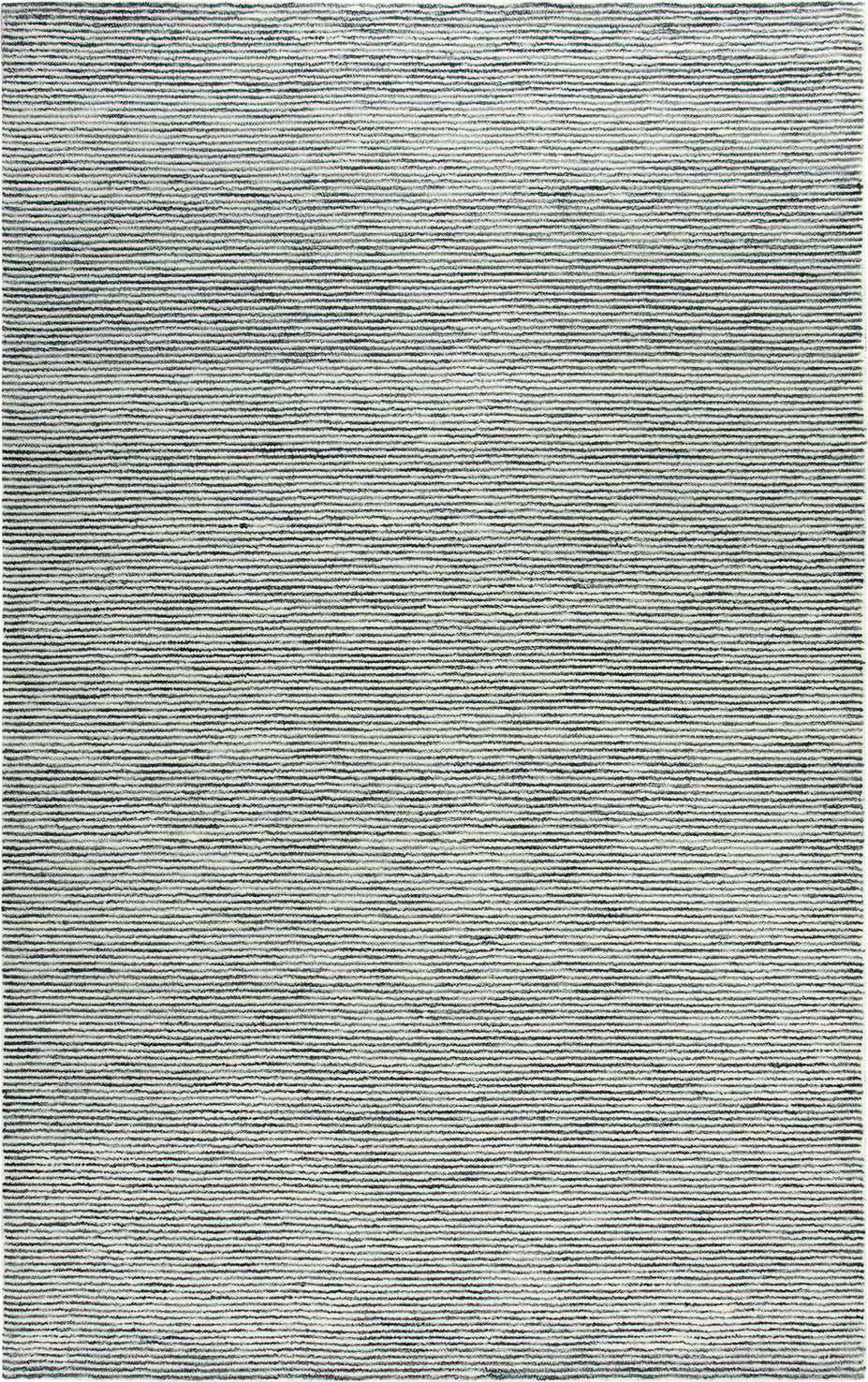 Rizzy Roswell RWL102 Charcoal/Ivory Area Rug main image