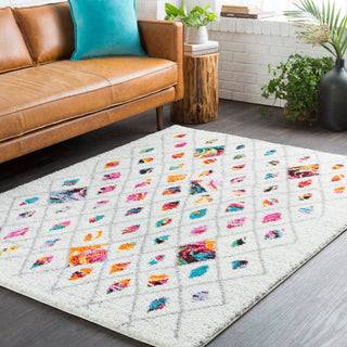 Surya Rainbow Shag RWS-6205 Area Rug Room Image Feature