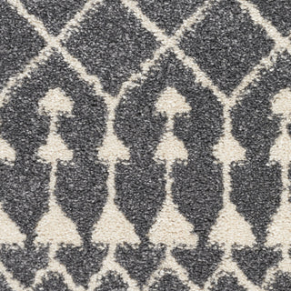 Nourison Royal Moroccan RYM03 Charcoal/Ivory Area Rug Detail Image