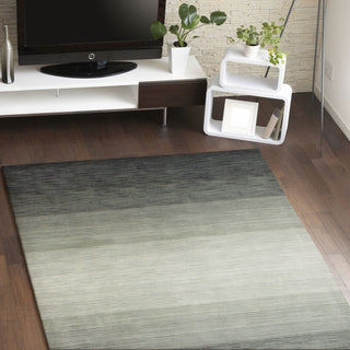 Bashian Contempo S176-ALM41 Charcoal Area Rug Room Scene Feature