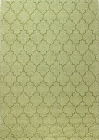 Bashian Soho S176-108 Light Green Area Rug main image