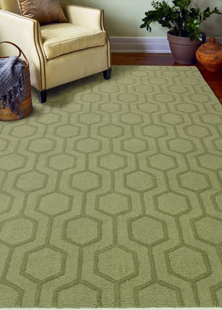 Bashian Soho S176-109 Light Green Area Rug Room Scene Feature