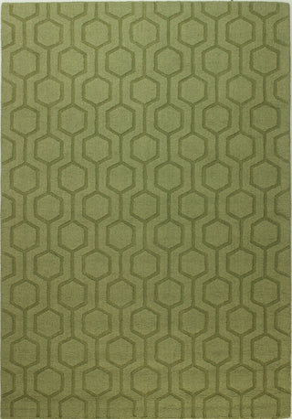 Bashian Soho S176-109 Light Green Area Rug main image