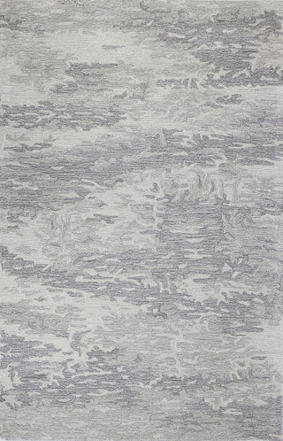 Bashian Norwalk S217-VW217 Grey Area Rug main image