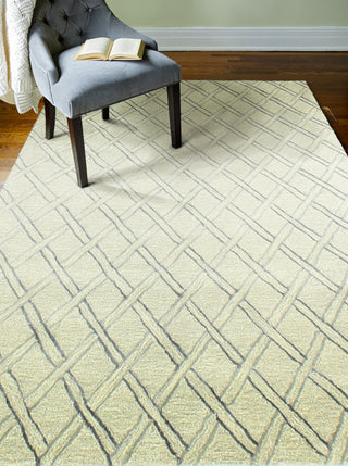 Bashian Norwalk S217-VW222 Grey Area Rug Room Scene