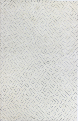 Bashian Norwalk S217-VW205 White/White Area Rug