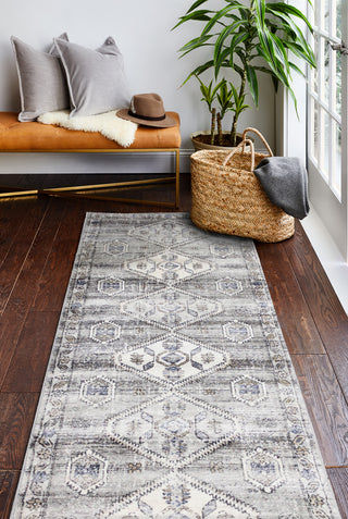 Bashian Sierra S231-SE1002 Area Rug Lifestyle Image Feature