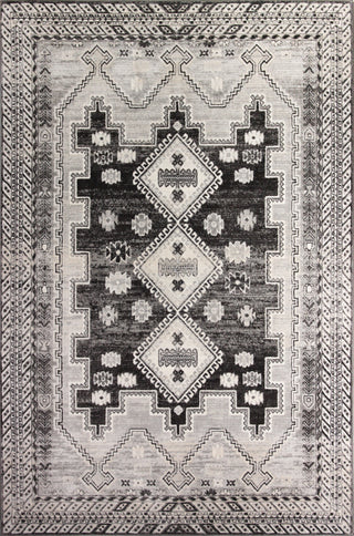 Bashian Sierra S231-SE1001 Area Rug