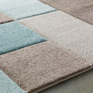 Surya Santa Monica SAC-2300 Aqua Dark Brown Taupe White Area Rug Texture Image