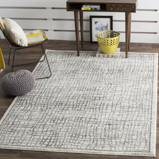 Safavieh Adirondack ADR103B Silver/Ivory Area Rug  Feature