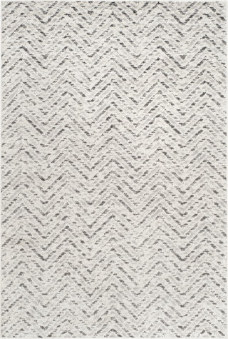 Safavieh Adirondack ADR104N Ivory/Charcoal Area Rug main image