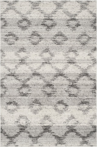 Safavieh Adirondack ADR106P Silver/Charcoal Area Rug 