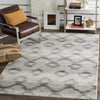 Safavieh Adirondack ADR106P Silver/Charcoal Area Rug  Feature