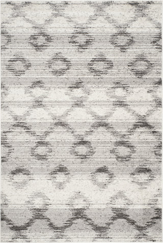 Safavieh Adirondack ADR106P Silver/Charcoal Area Rug main image