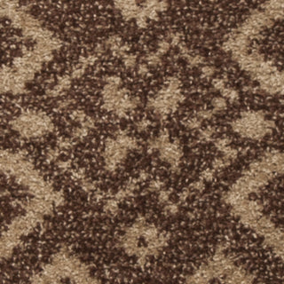 Safavieh Adirondack ADR107C Camel/Chocolate Area Rug 