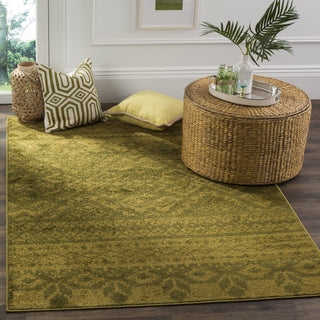 Safavieh Adirondack ADR107D Green/Dark Green Area Rug  Feature