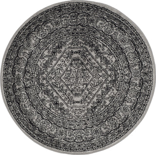 Safavieh Adirondack ADR108A Silver/Black Area Rug 