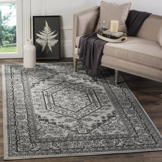 Safavieh Adirondack ADR108A Silver/Black Area Rug  Feature