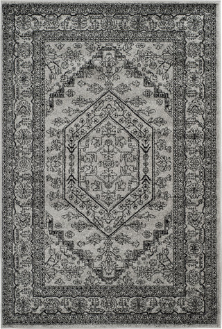 Safavieh Adirondack ADR108A Silver/Black Area Rug main image