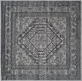 Safavieh Adirondack ADR108A Silver/Black Area Rug 