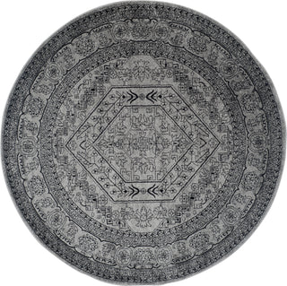 Safavieh Adirondack ADR108A Silver/Black Area Rug 