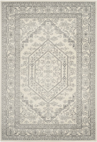 Safavieh Adirondack ADR108B Ivory/Silver Area Rug main image