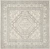 Safavieh Adirondack ADR108B Ivory/Silver Area Rug 