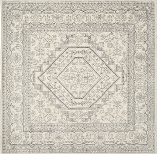 Safavieh Adirondack ADR108B Ivory/Silver Area Rug 