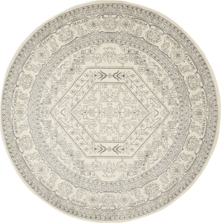 Safavieh Adirondack ADR108B Ivory/Silver Area Rug 