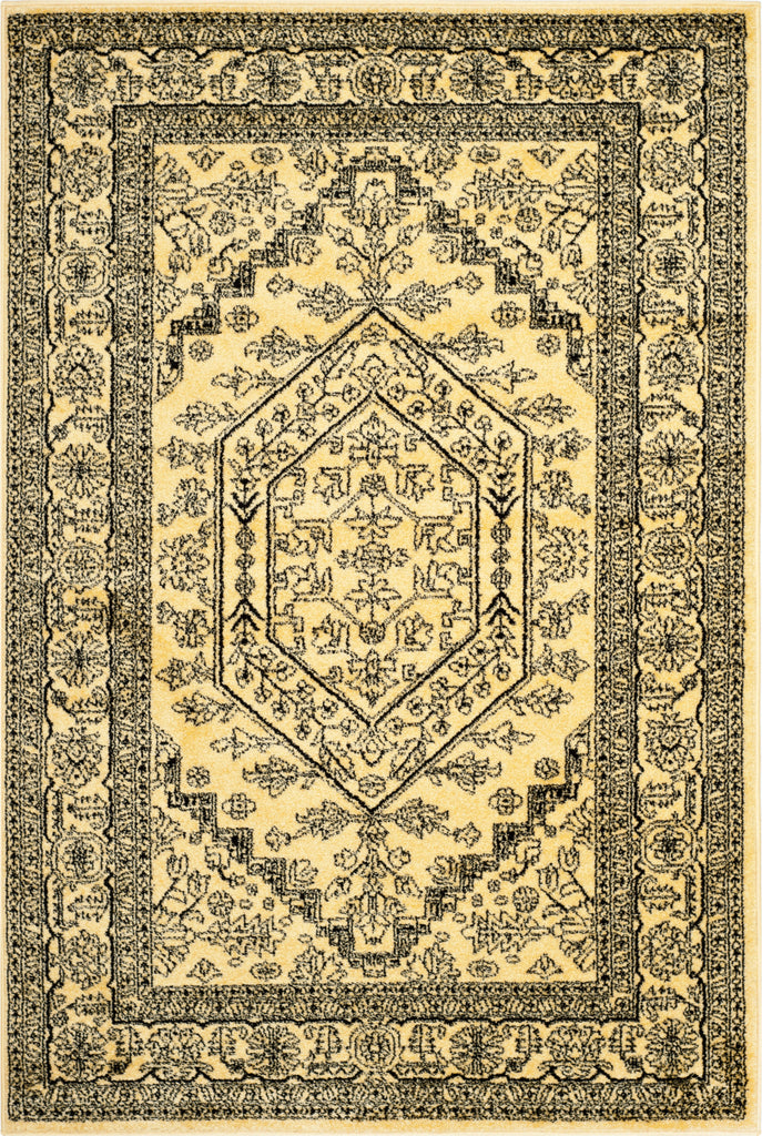 Safavieh Adirondack ADR108H Gold/Black Area Rug main image